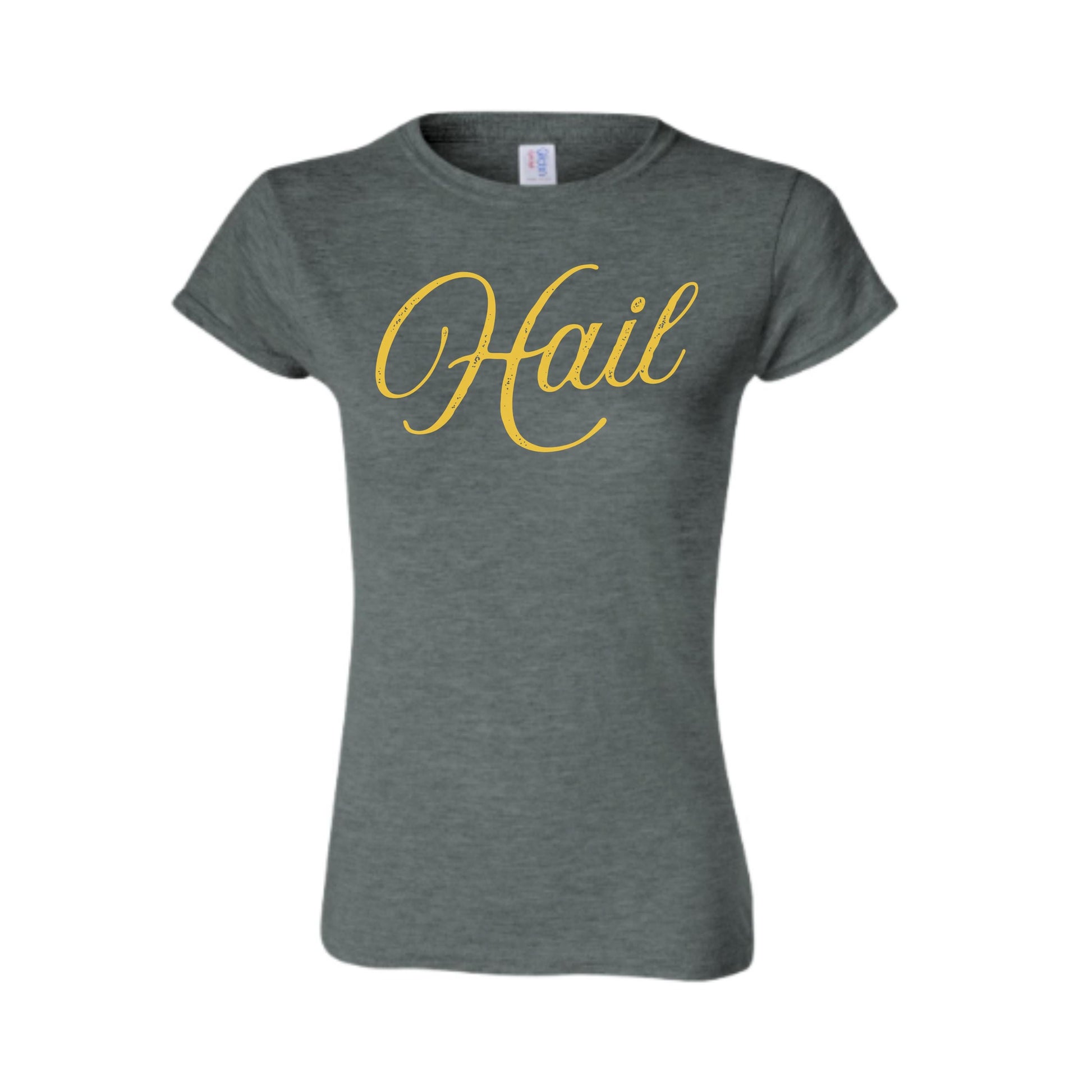 HAIL Women’s T-Shirt | Grunge Text Graphic Tee | Michigan College Football Shirt | Ann Arbor Game Day Outfit | Go Blue Fan Gear